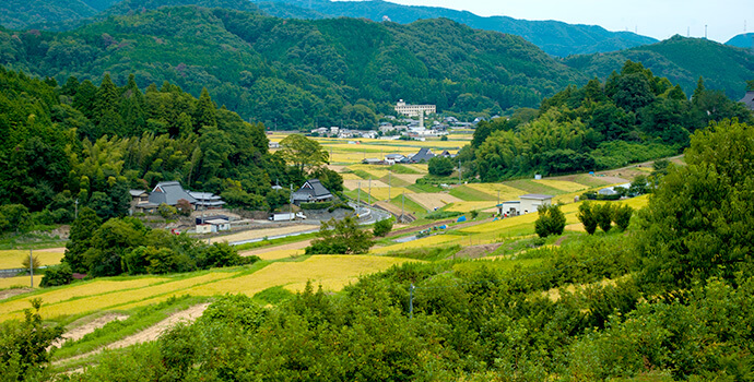 地域密着
